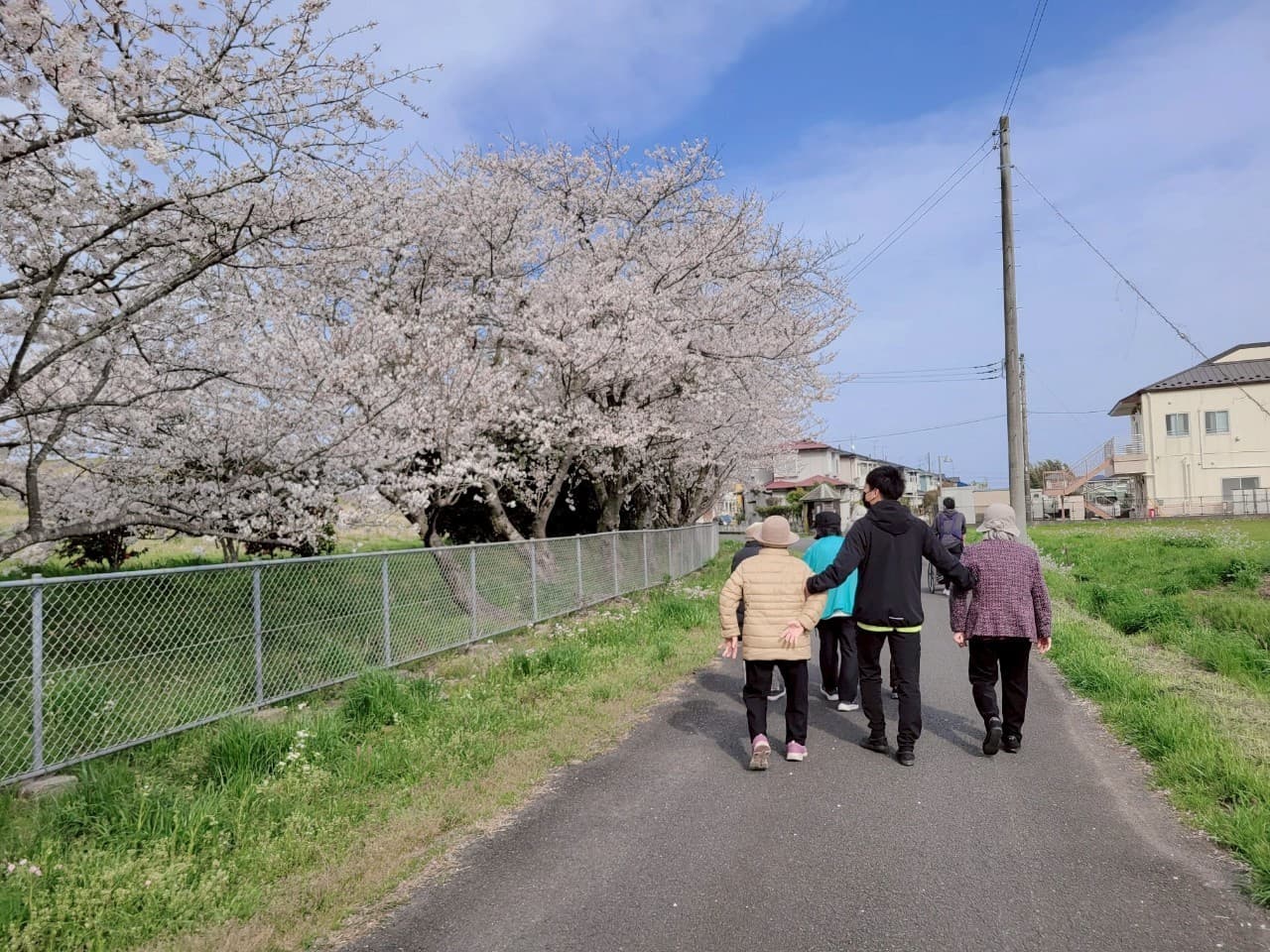 桜の下を散歩する入居者と職員。春の季節を楽しむ施設の外出活動風景。
