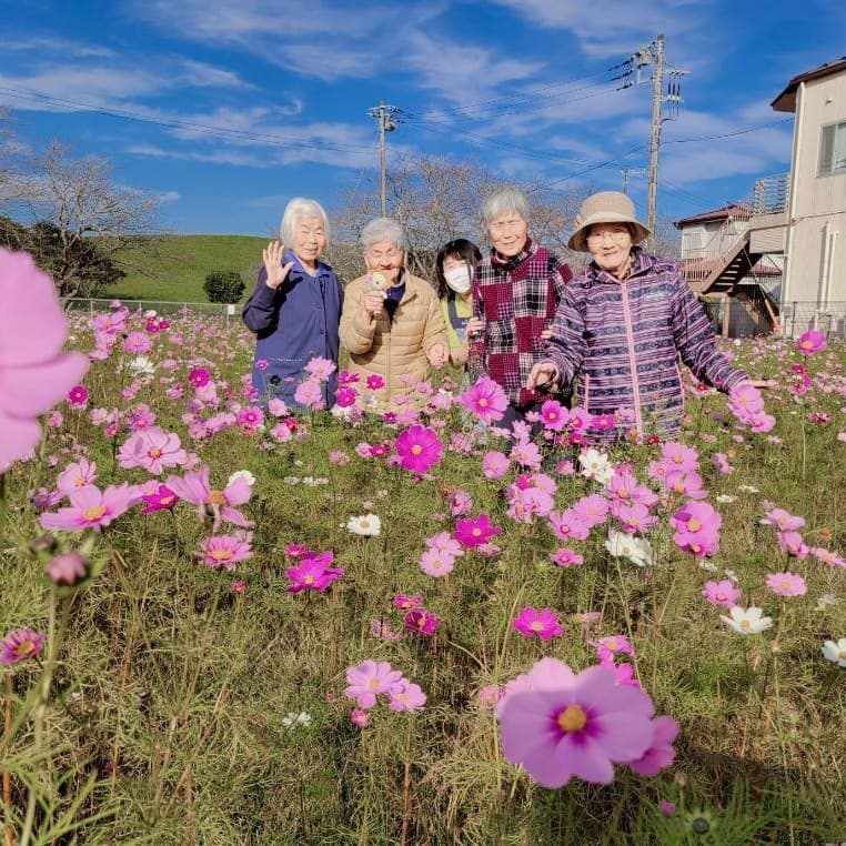 施設敷地内の花畑でコスモスを楽しむ入居者たちの生活風景